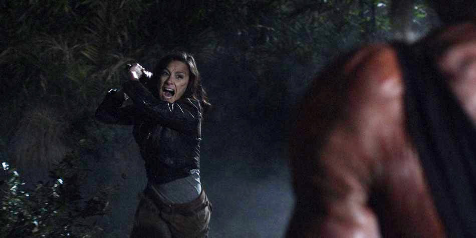 Hatchet Part II 2010 - Best Thriller Movies of All Time